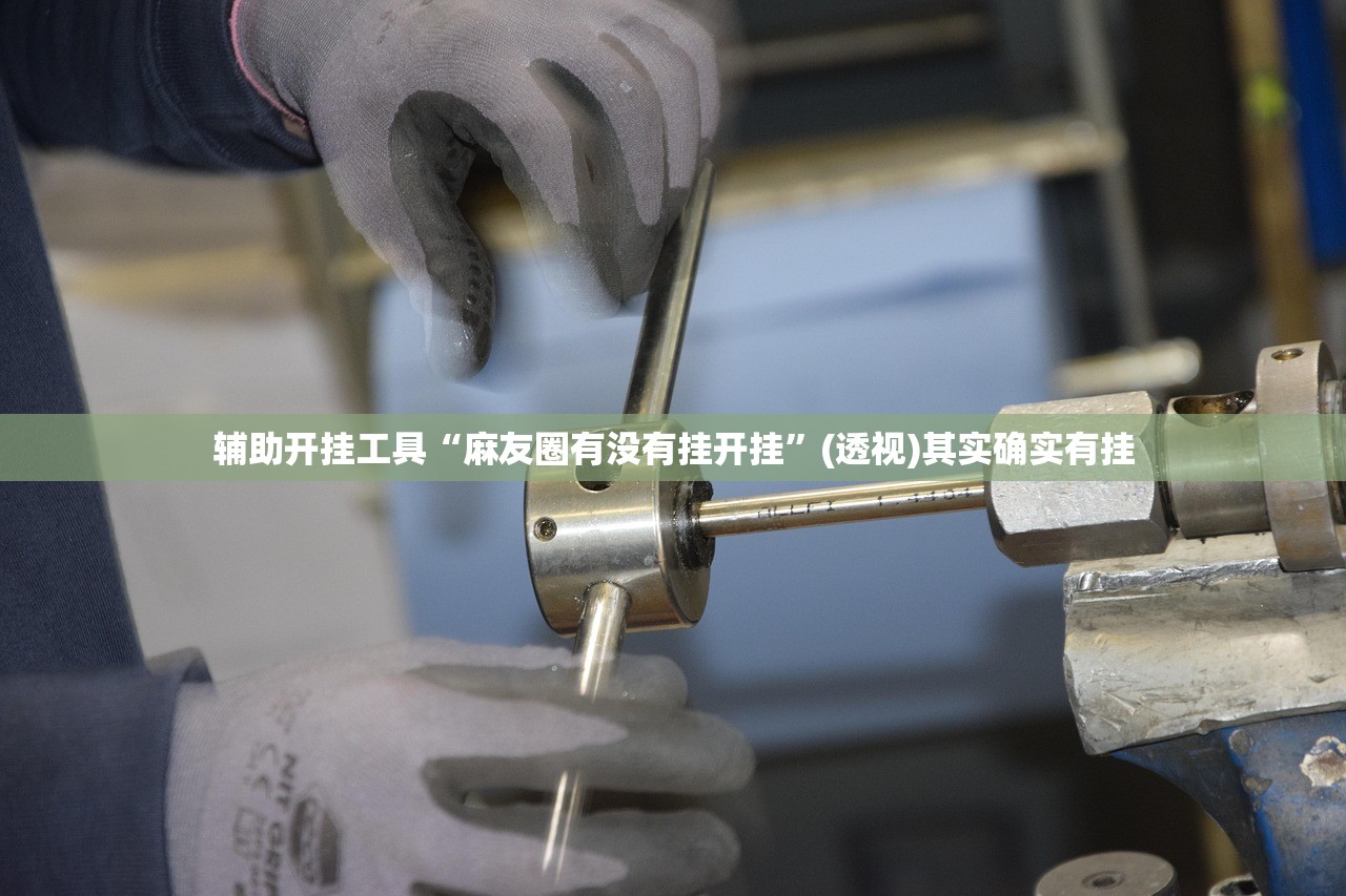 辅助开挂工具“麻友圈有没有挂开挂”(透视)其实确实有挂