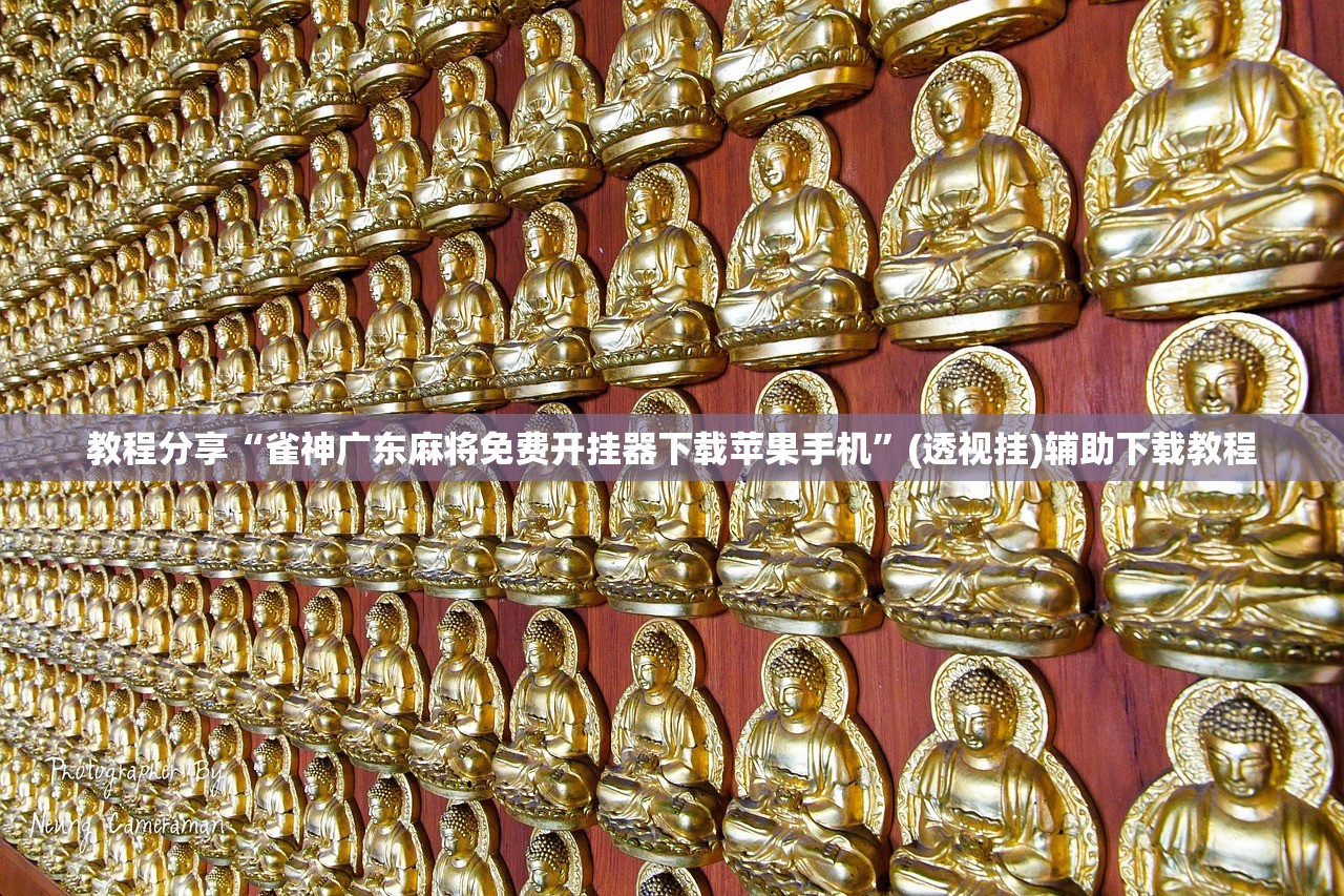 教程分享“雀神广东麻将免费开挂器下载苹果手机”(透视挂)辅助下载教程