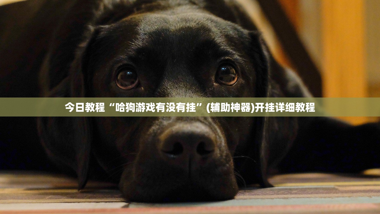 今日教程“哈狗游戏有没有挂”(辅助神器)开挂详细教程