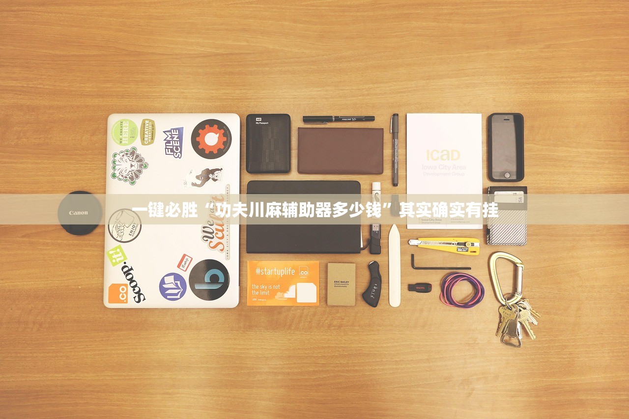 一键必胜“功夫川麻辅助器多少钱”其实确实有挂
