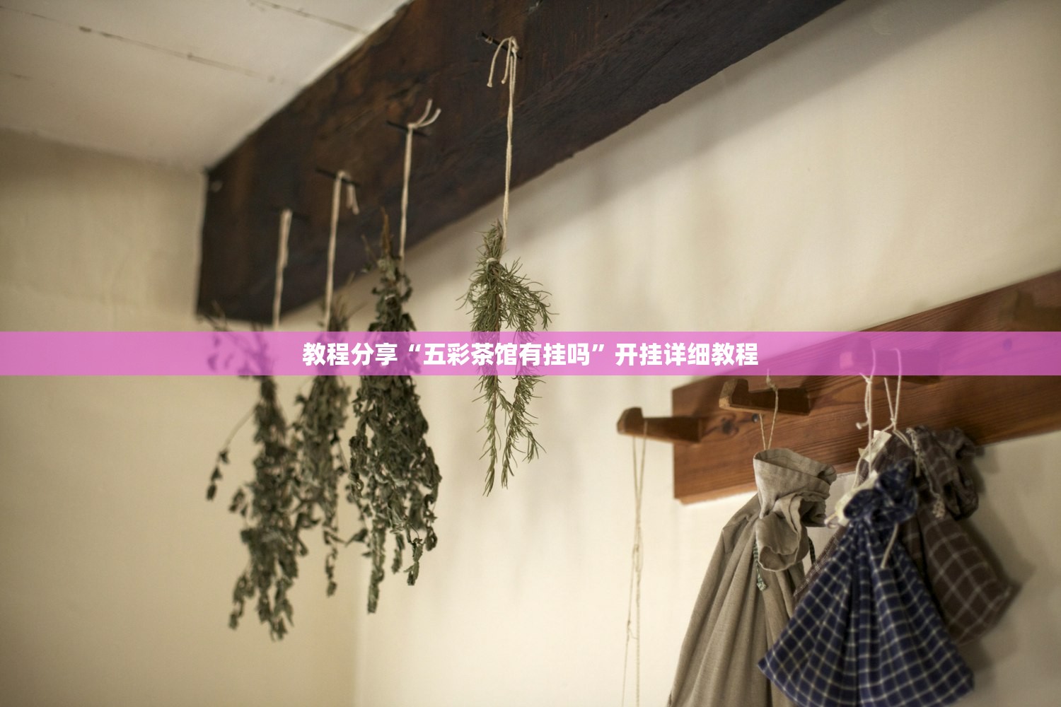 教程分享“五彩茶馆有挂吗”开挂详细教程