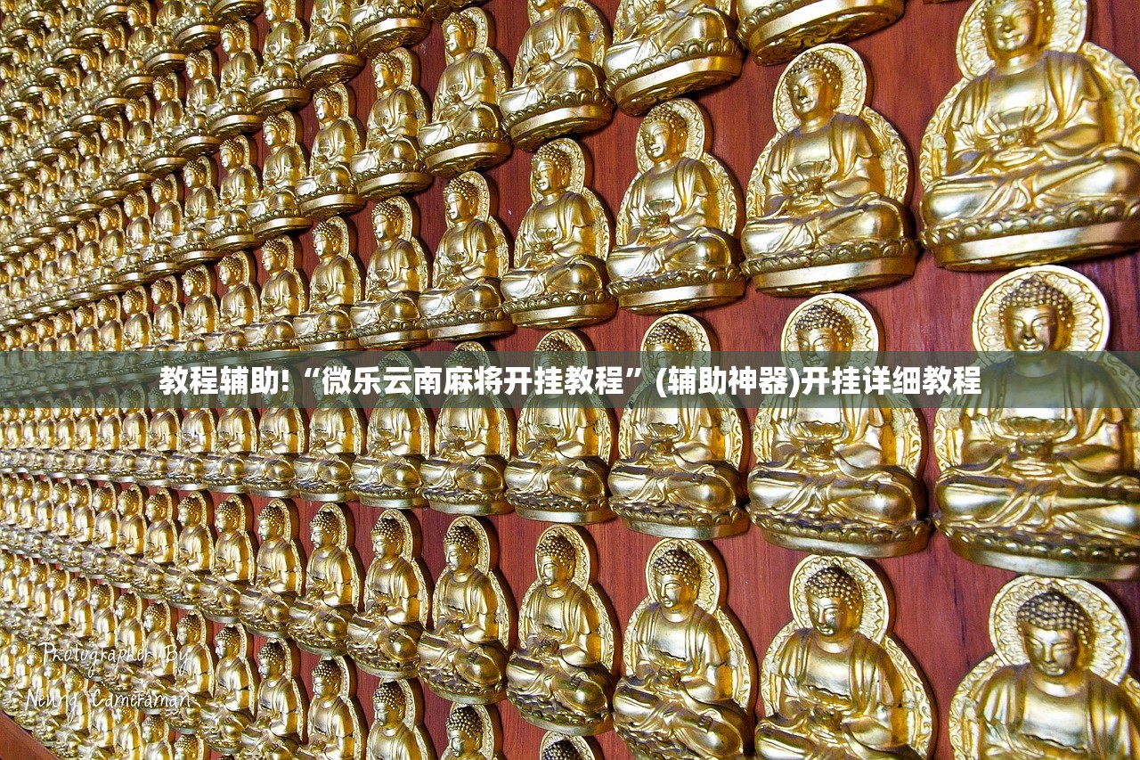 教程辅助!“微乐云南麻将开挂教程	”(辅助神器)开挂详细教程