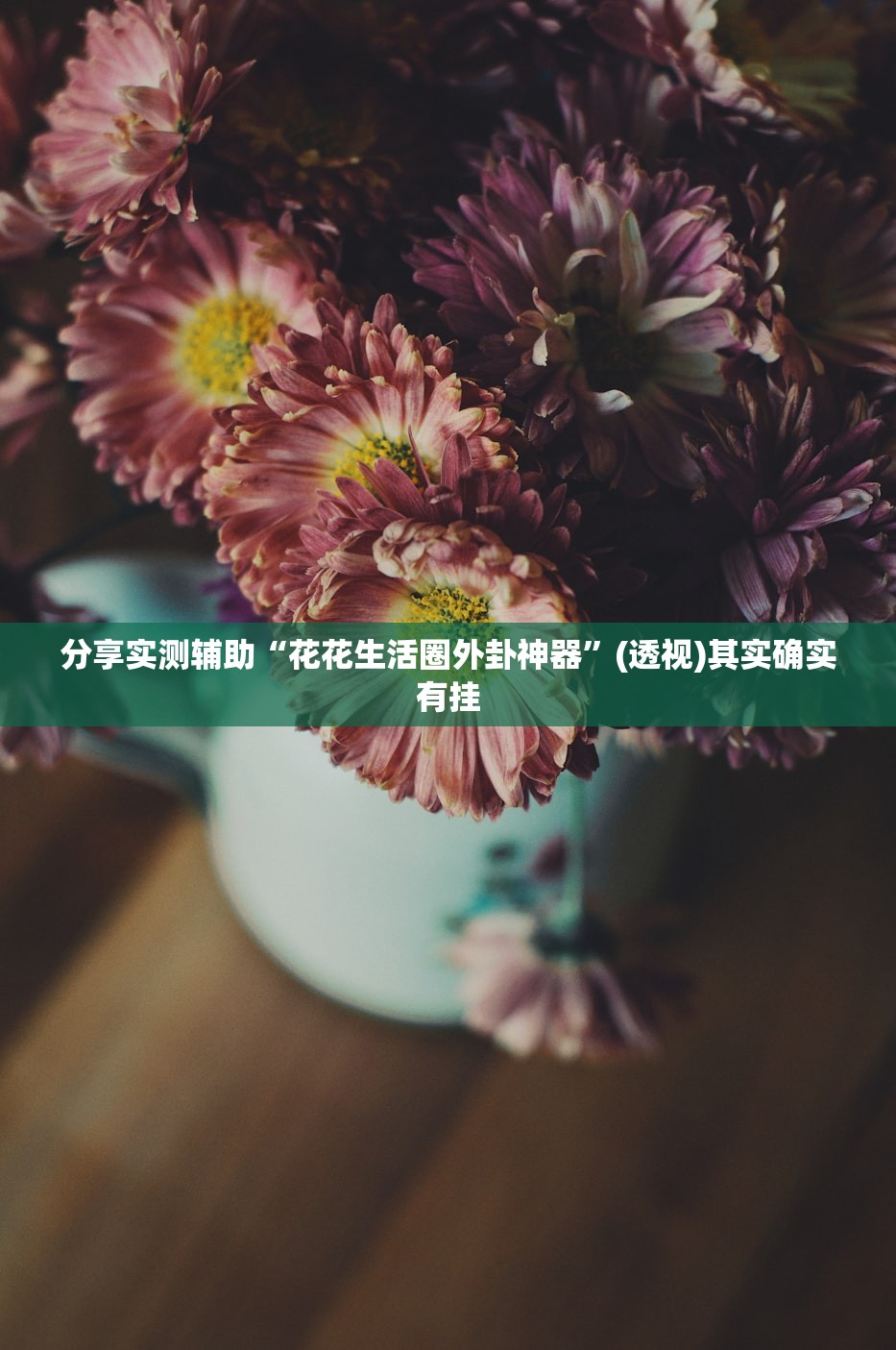 玩家必读“好运大菠萝怎么开挂”详细外挂透视辅助软件教程