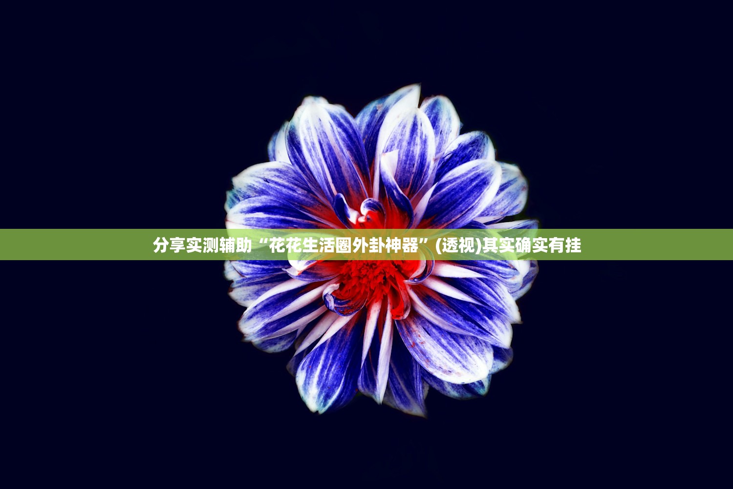 分享实测辅助“花花生活圈外卦神器”(透视)其实确实有挂