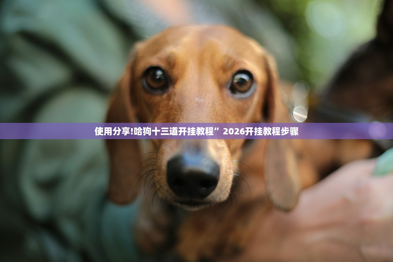 辽宁新增4例本土无症状（辽宁新增确诊2例 无症状感染者3例）