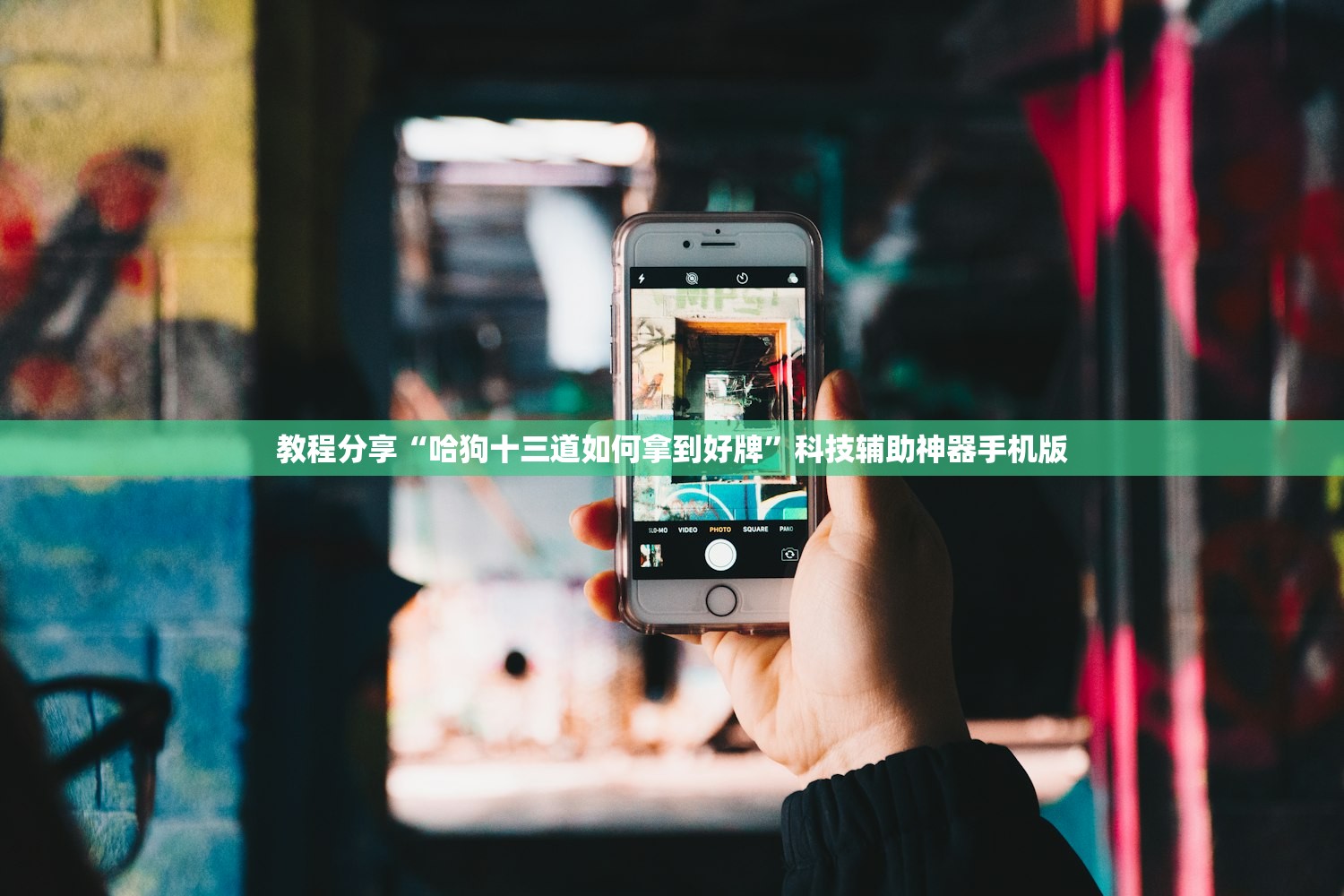 教程分享“哈狗十三道如何拿到好牌”科技辅助神器手机版