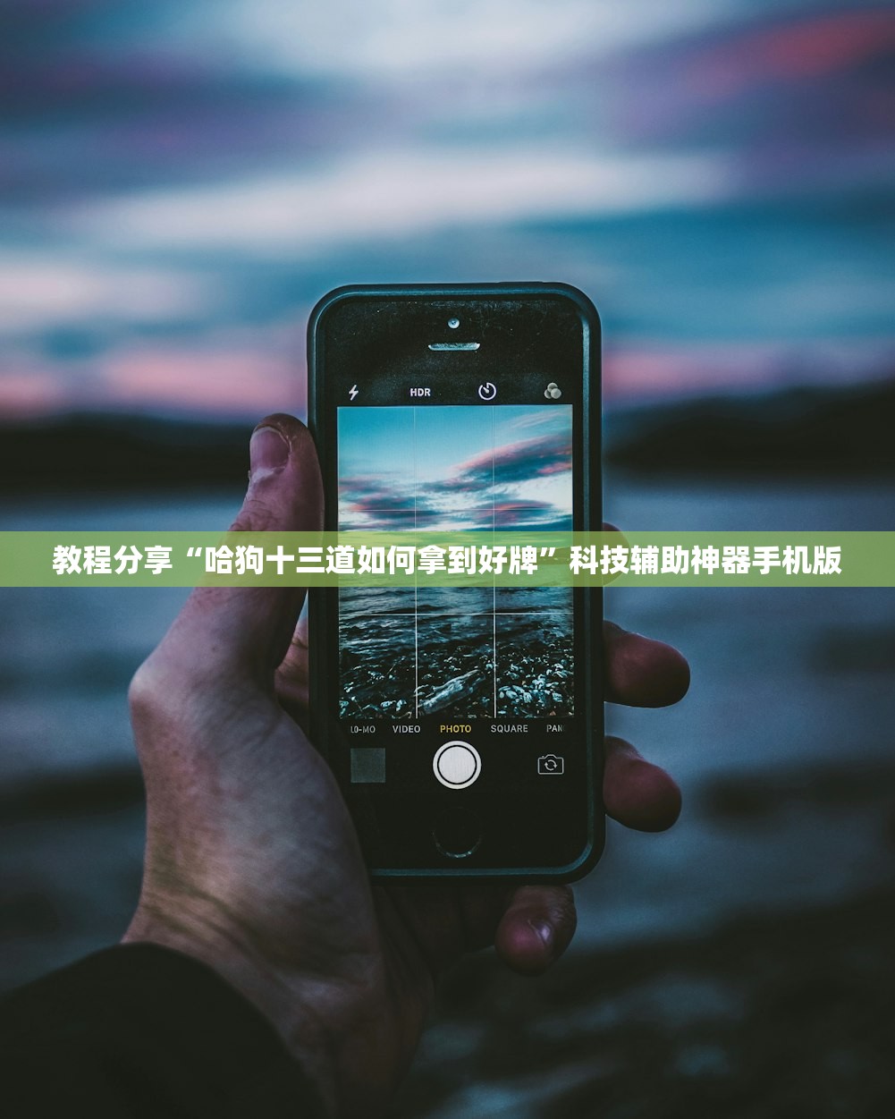 教程分享“哈狗十三道如何拿到好牌”科技辅助神器手机版
