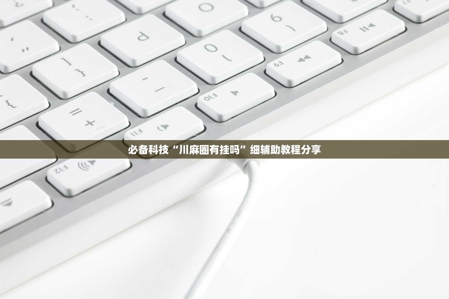 必备科技“川麻圈有挂吗”细辅助教程分享