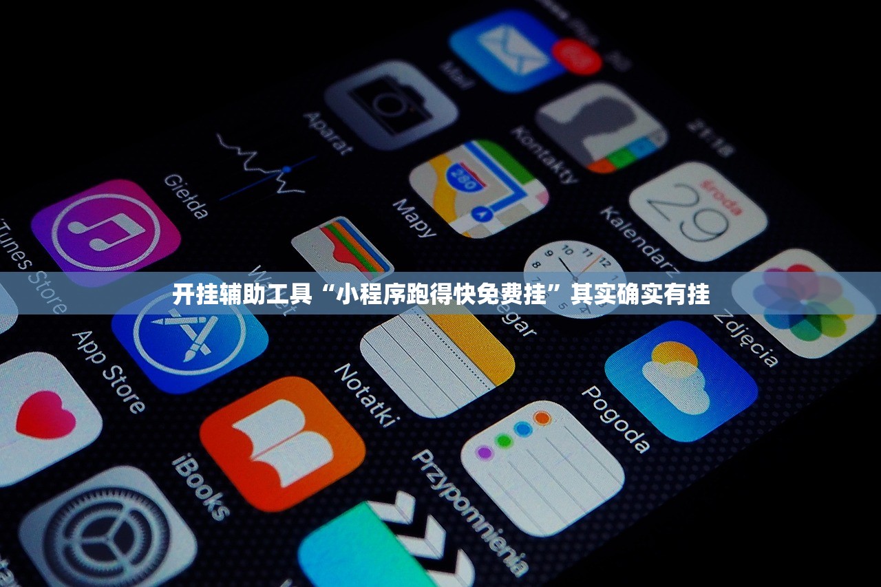 开挂辅助工具“小程序跑得快免费挂”其实确实有挂