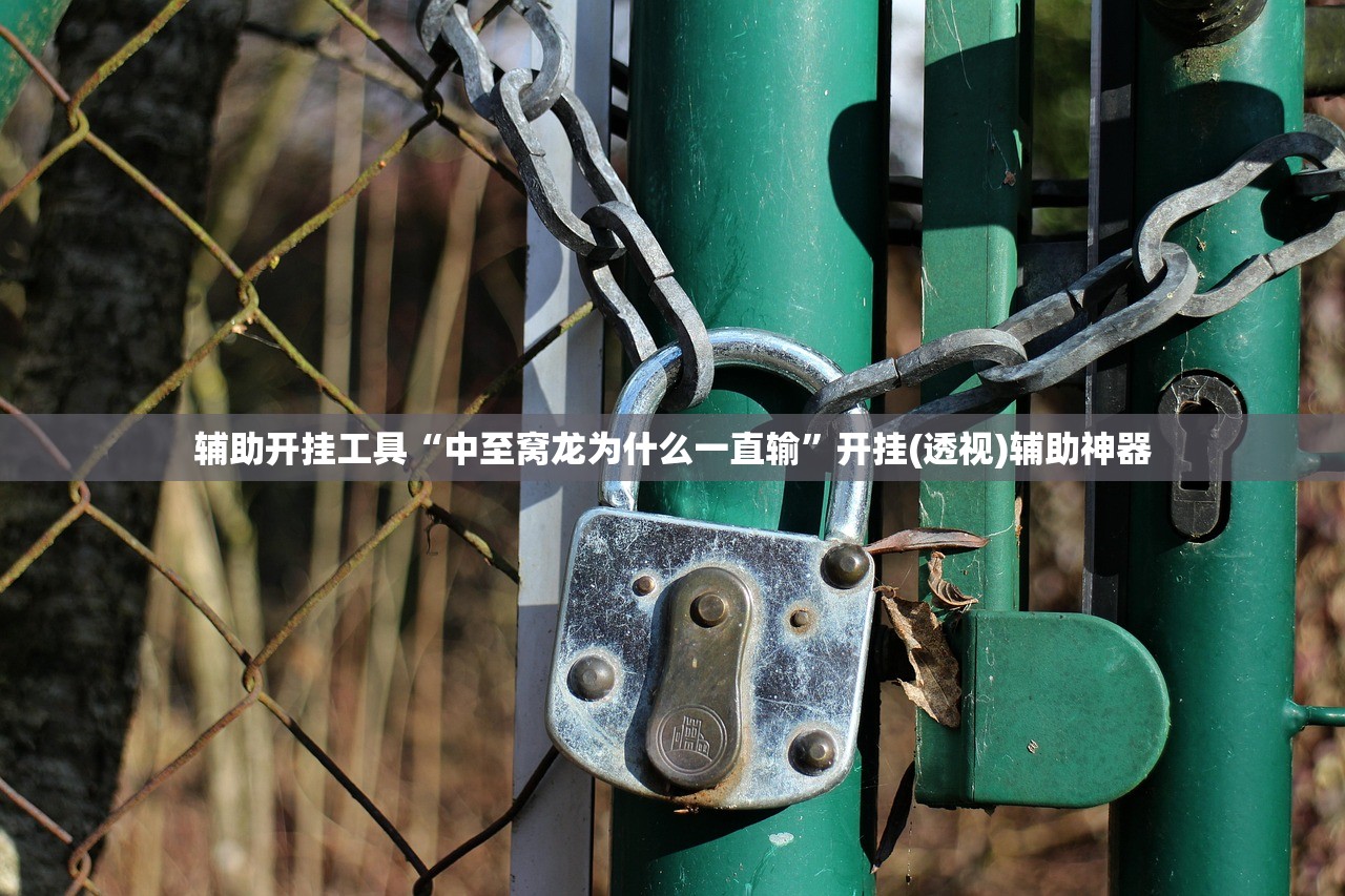 辅助开挂工具“中至窝龙为什么一直输”开挂(透视)辅助神器