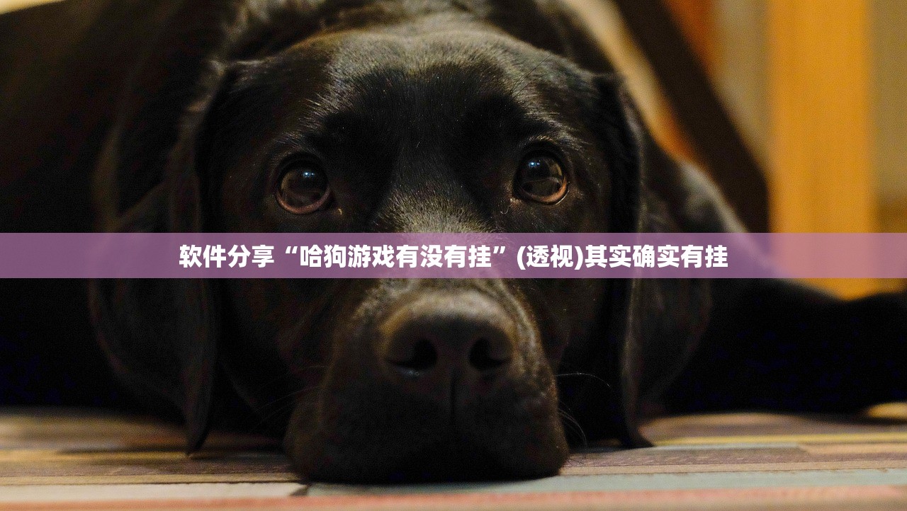 冬季奥运会闭幕式的简单介绍