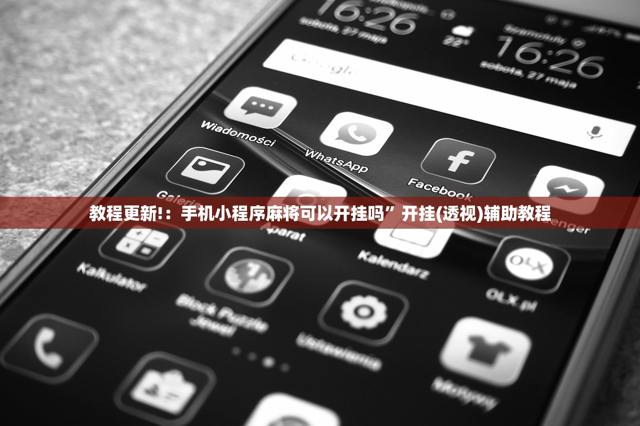 教程分享“顺欣茶楼开挂辅助器通用版(透视)”开挂辅助脚本+详细开挂安装教程