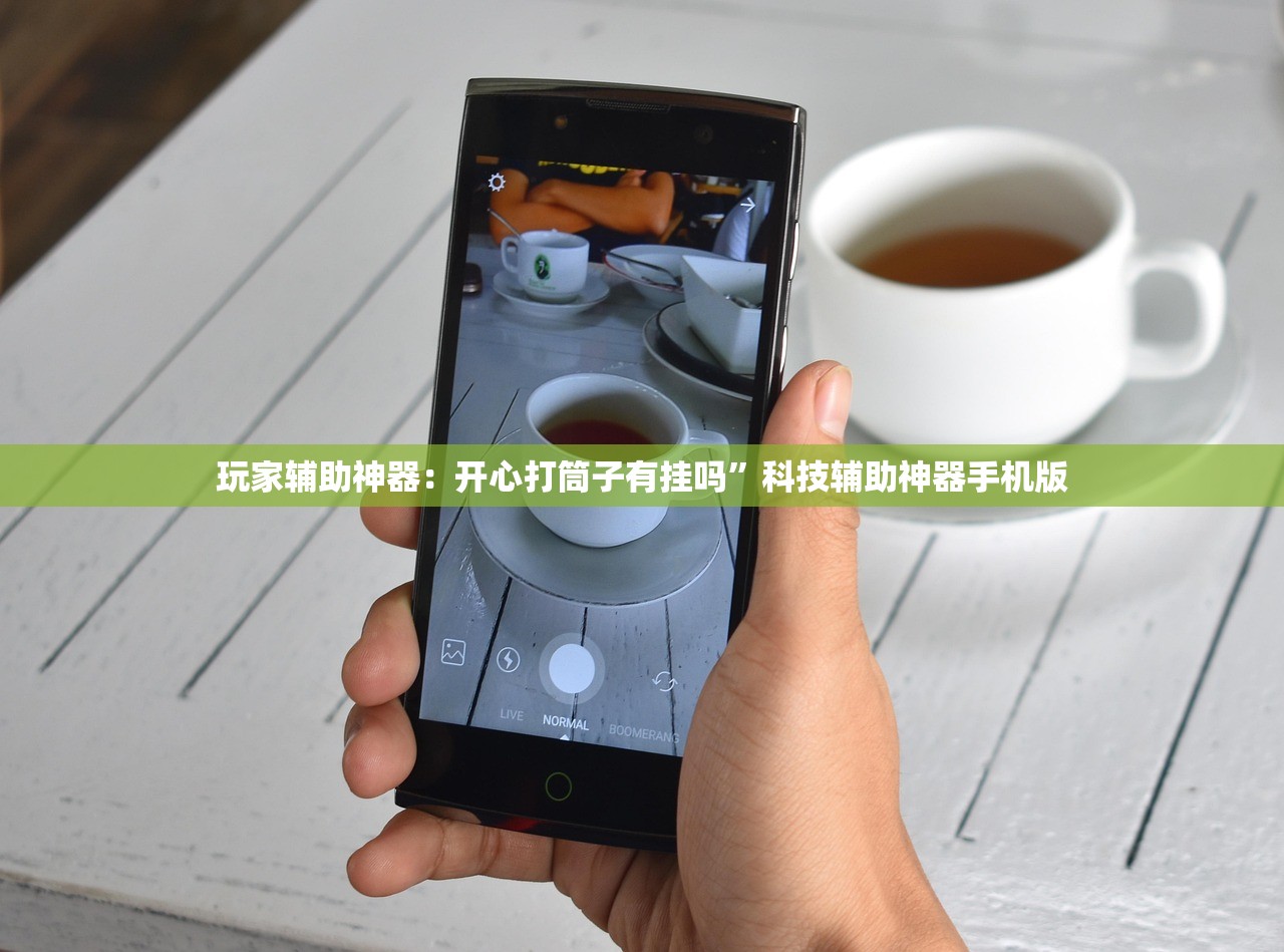 玩家辅助神器：开心打筒子有挂吗	”科技辅助神器手机版