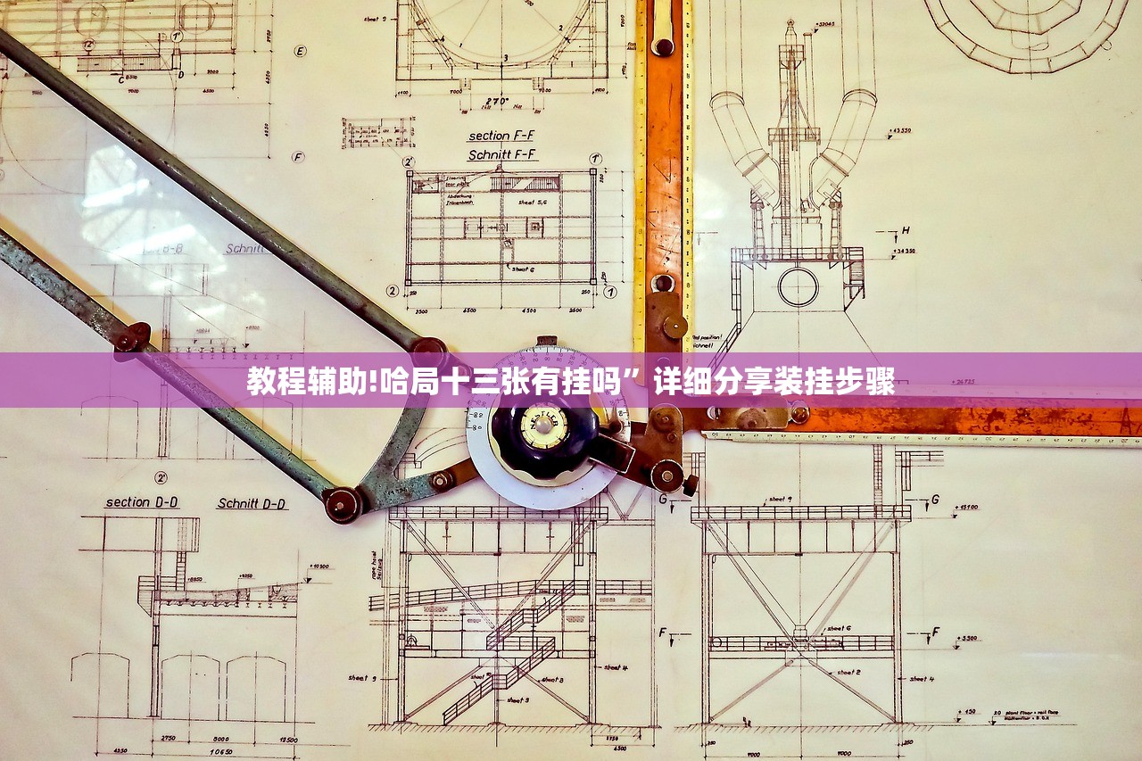 教程辅助!哈局十三张有挂吗	”详细分享装挂步骤