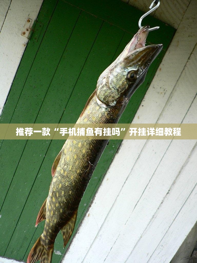 软件分享“广东雀神试用一天”原来可以开挂
