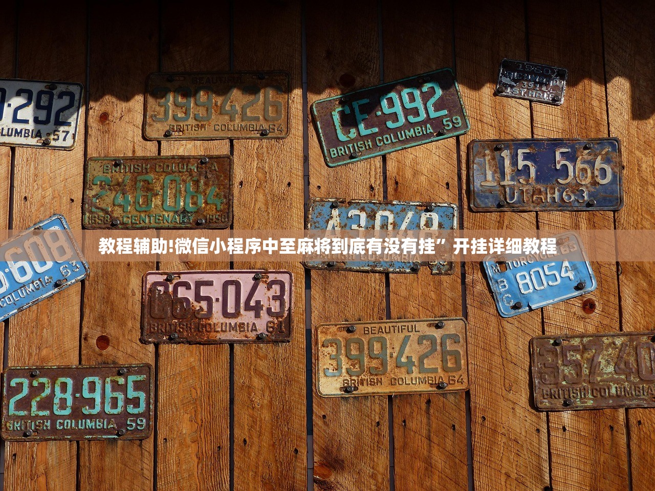 实测神器辅助“众乐贵州麻将开挂辅助器通用版”开挂(透视)辅助神器