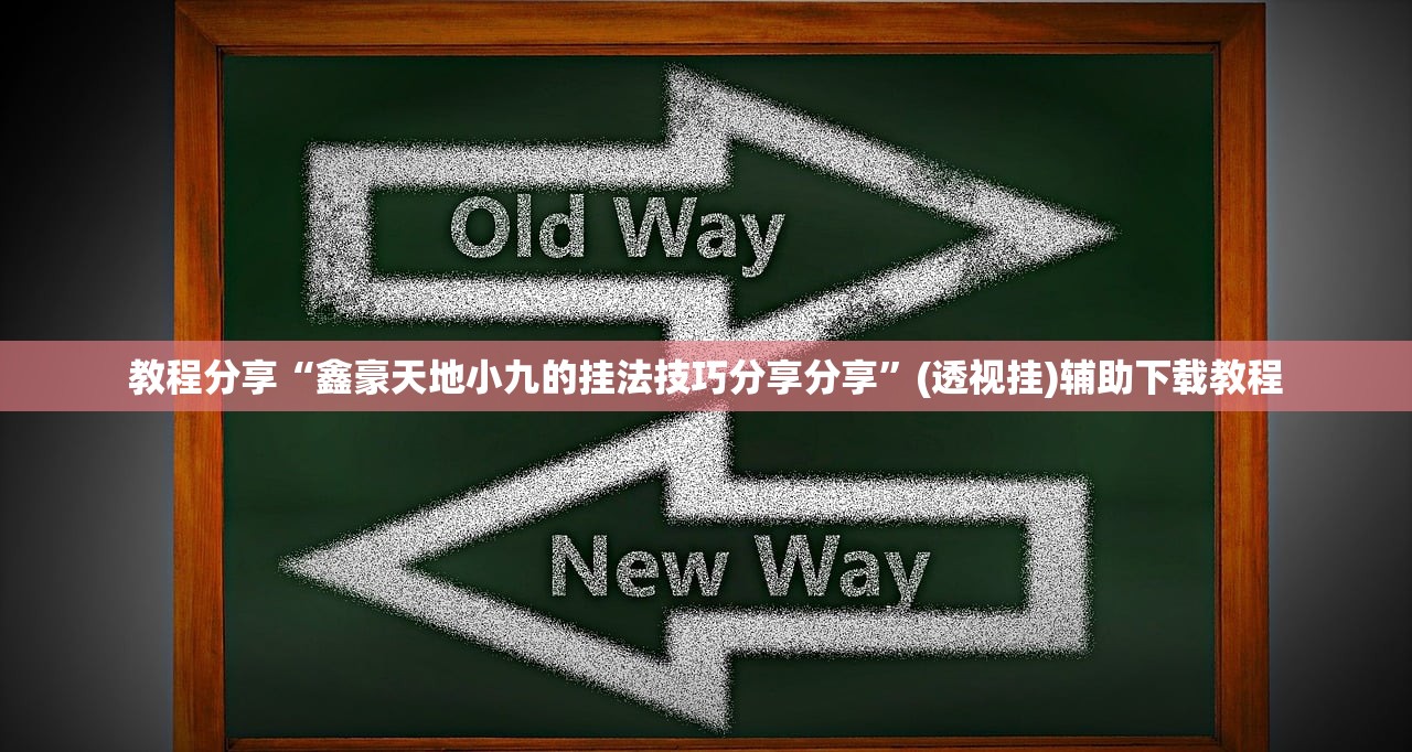 教程分享“鑫豪天地小九的挂法技巧分享分享	”(透视挂)辅助下载教程