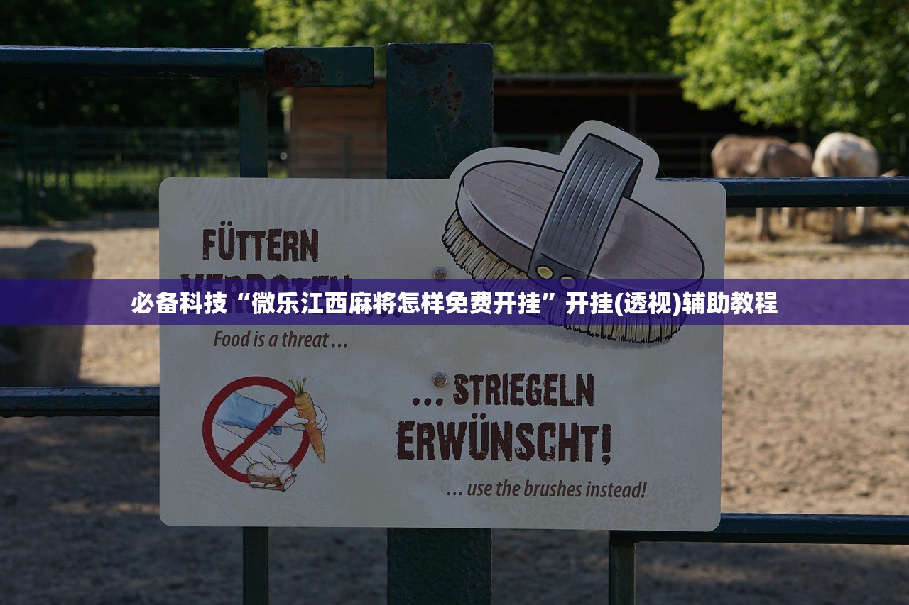 玩家辅助神器：家乡大贰作弊软件”详细外挂透视辅助软件教程