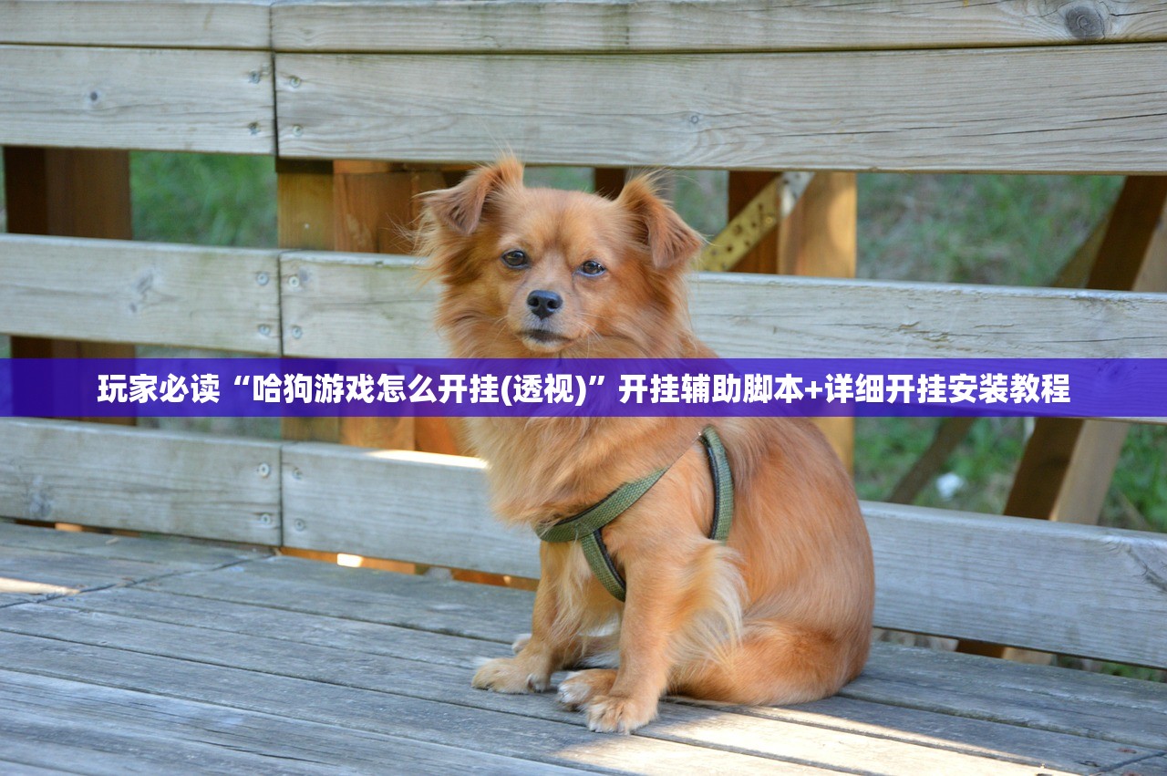 玩家必读“哈狗游戏怎么开挂(透视)	”开挂辅助脚本+详细开挂安装教程