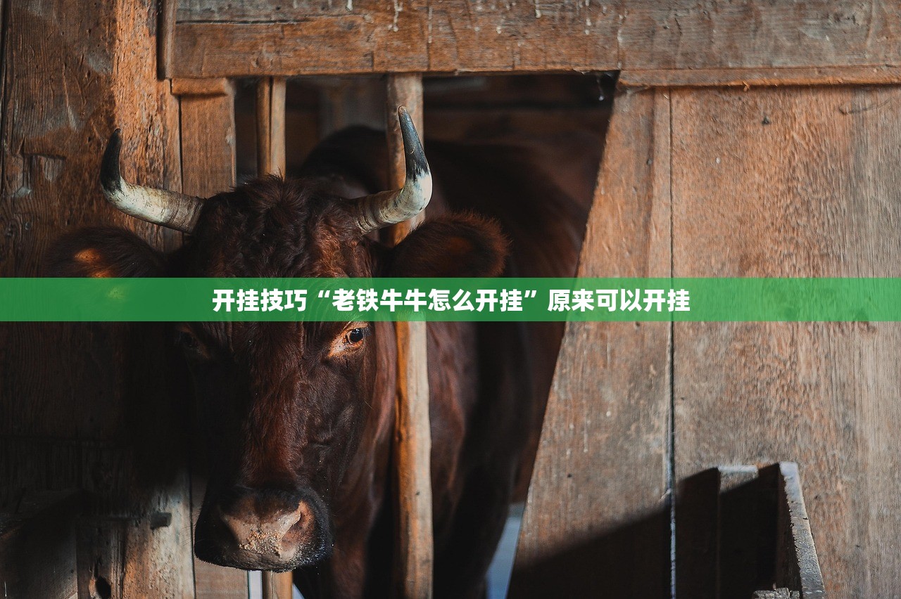 开挂技巧“老铁牛牛怎么开挂”原来可以开挂