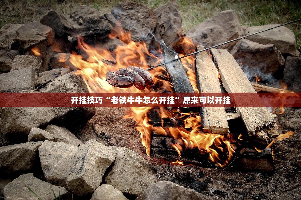 开挂技巧“老铁牛牛怎么开挂”原来可以开挂