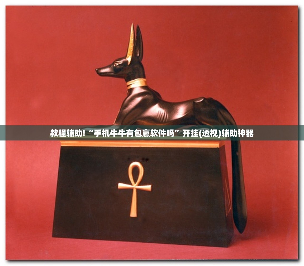 玩家辅助神器：微乐龙江麻将斗地主有挂吗”细辅助教程分享