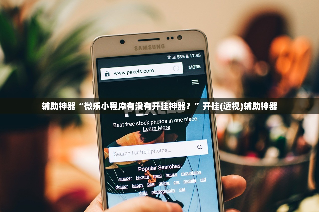 辅助神器“微乐小程序有没有开挂神器？	”开挂(透视)辅助神器