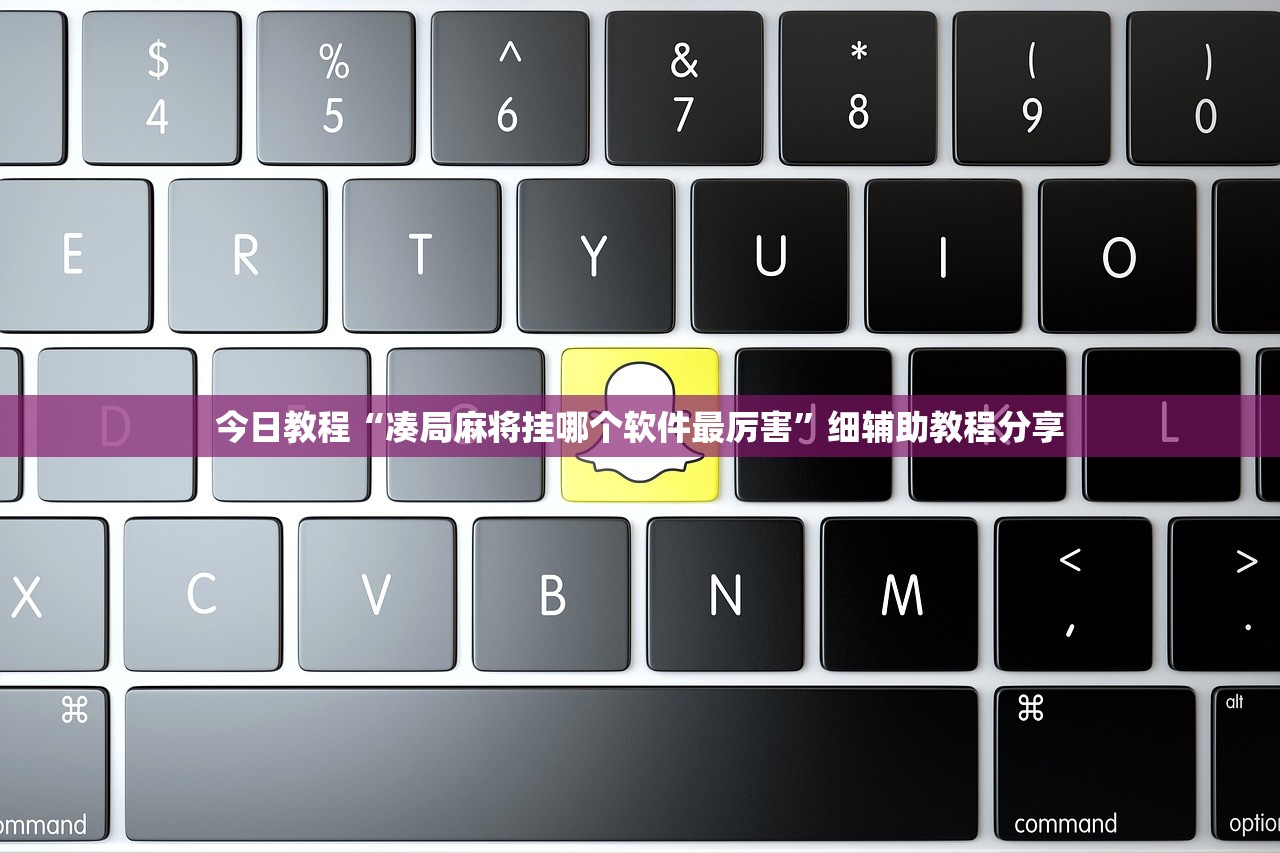 辅助神器“哈狗十三道如何开挂”开挂(透视)最新辅助详细