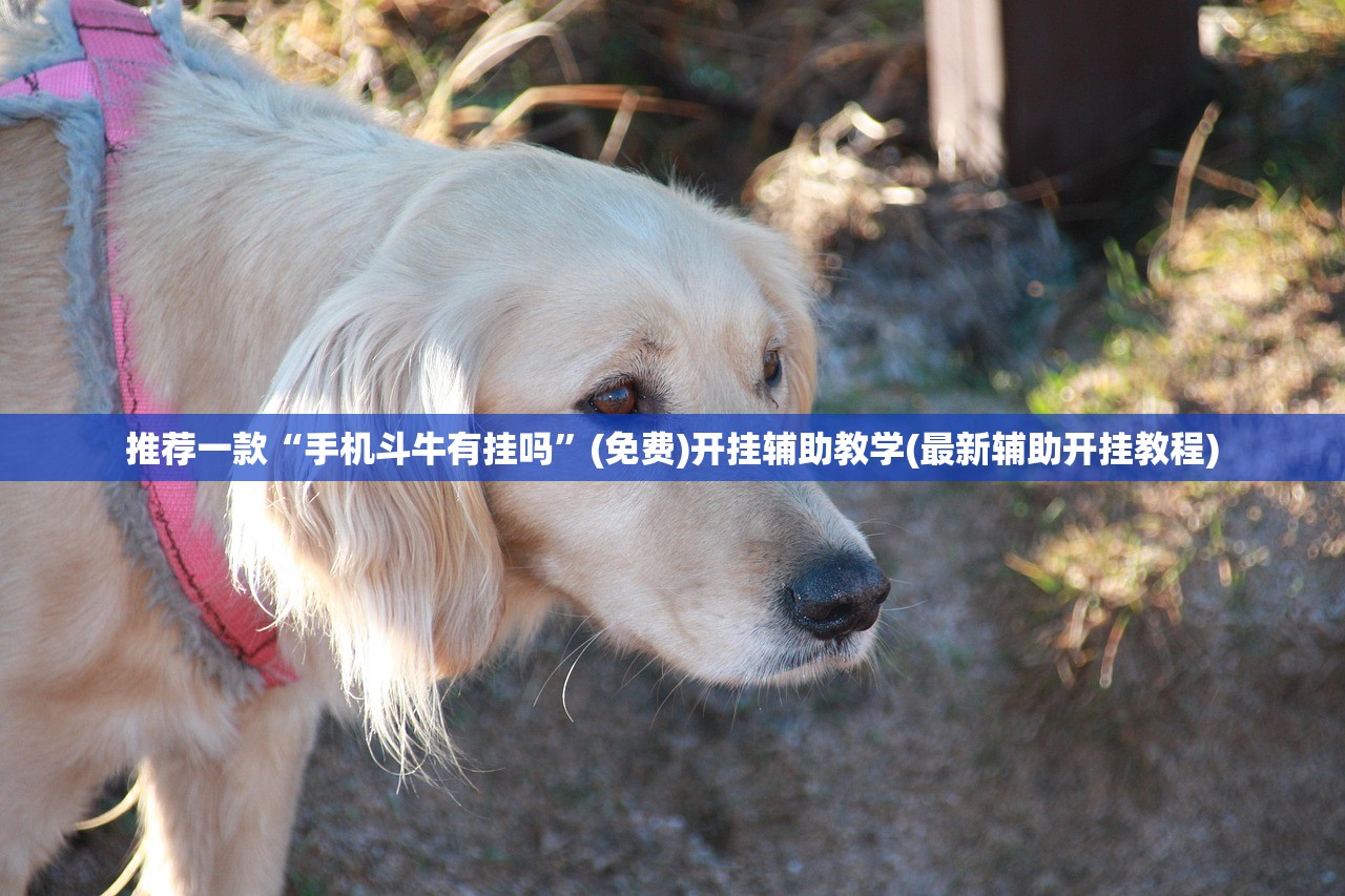 辅助神器“人皇大厅辅助挂专用版”其实确实有挂