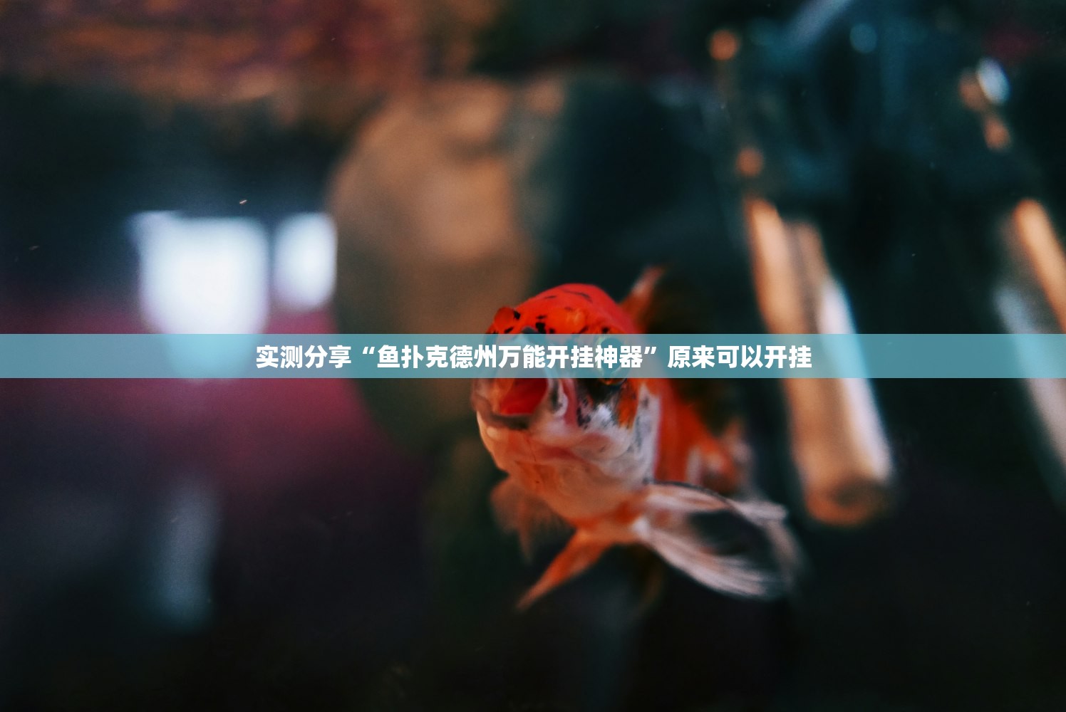 实测辅助“斗棋开挂辅助器通用版”开挂(透视)辅助神器