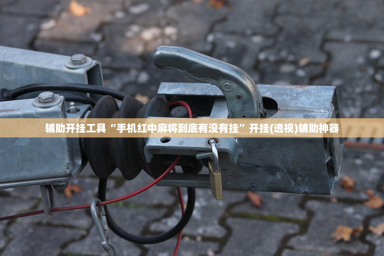 辅助开挂工具“手机红中麻将到底有没有挂”开挂(透视)辅助神器