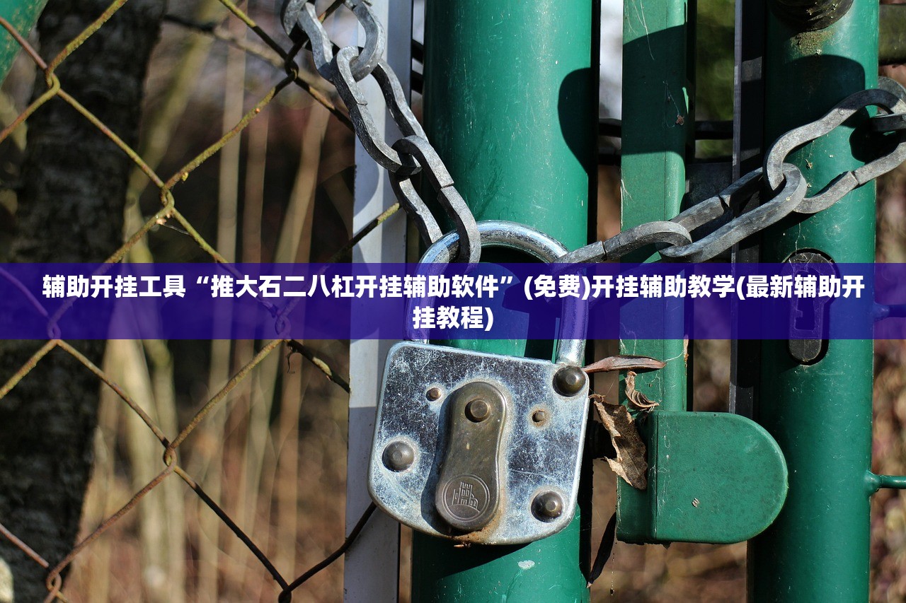 辅助开挂工具“推大石二八杠开挂辅助软件”(免费)开挂辅助教学(最新辅助开挂教程)