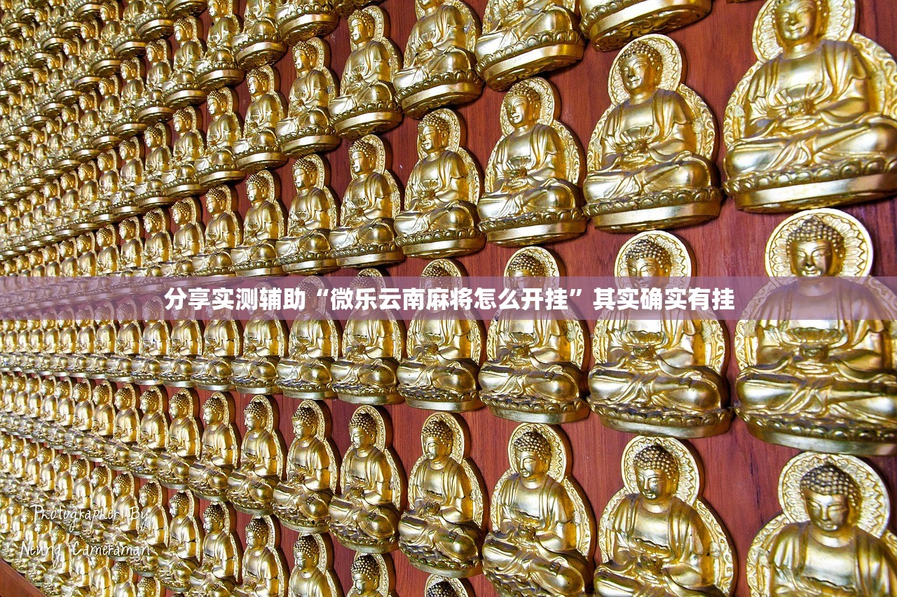 分享实测辅助“微乐云南麻将怎么开挂”其实确实有挂