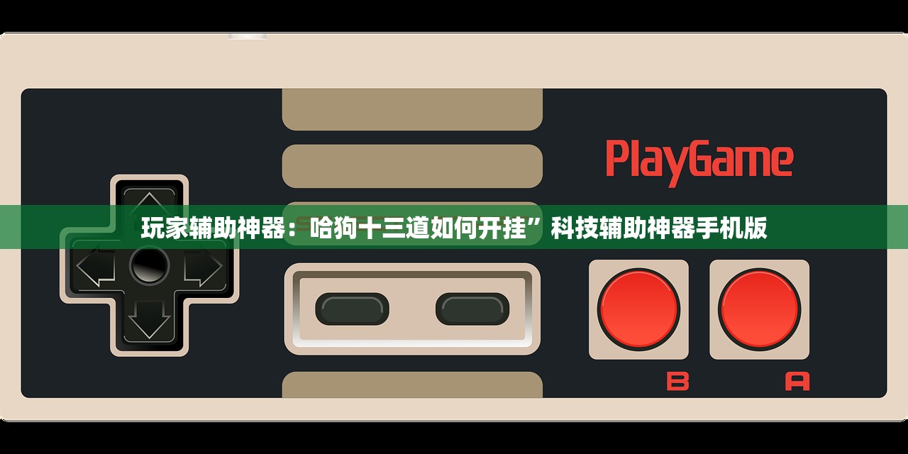 玩家辅助神器：哈狗十三道如何开挂”科技辅助神器手机版