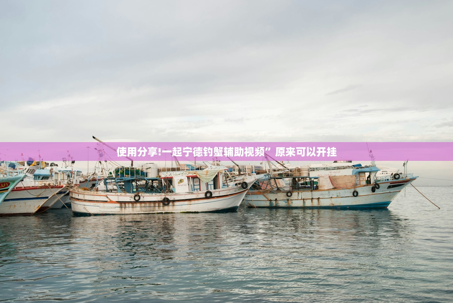 使用分享!一起宁德钓蟹辅助视频	”原来可以开挂