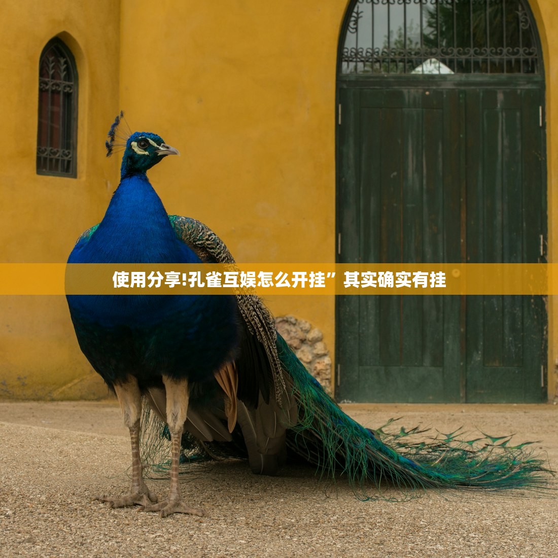 可用版本“新乐游到底有没有挂”开挂(透视)最新辅助详细