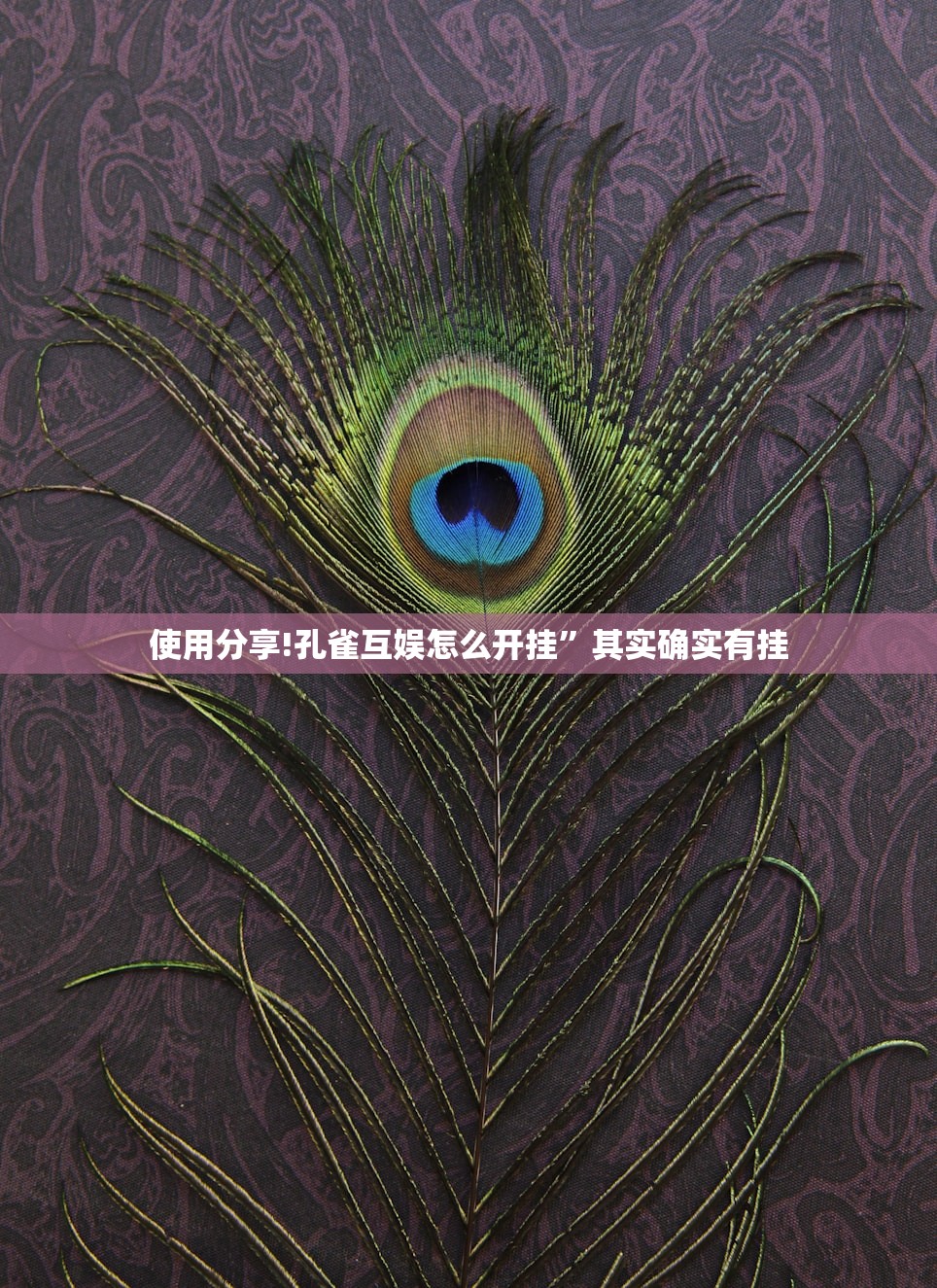 使用分享!孔雀互娱怎么开挂”其实确实有挂