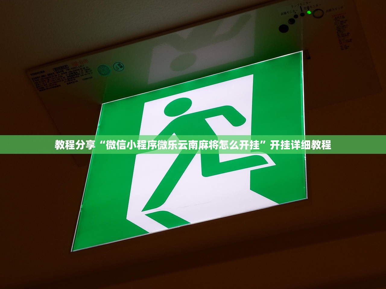 万能开挂辅助“闲逸斗地主亲友圈怎么开挂”开挂详细教程