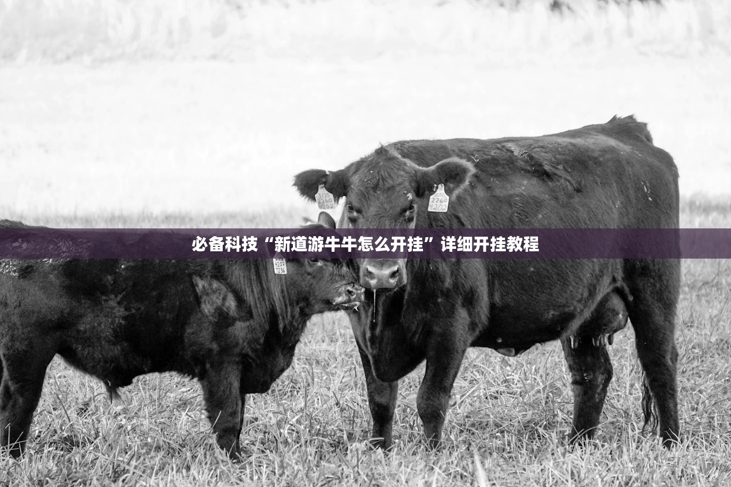 助赢神器“17好友麻将挂免费下载”详细外挂透视辅助软件教程