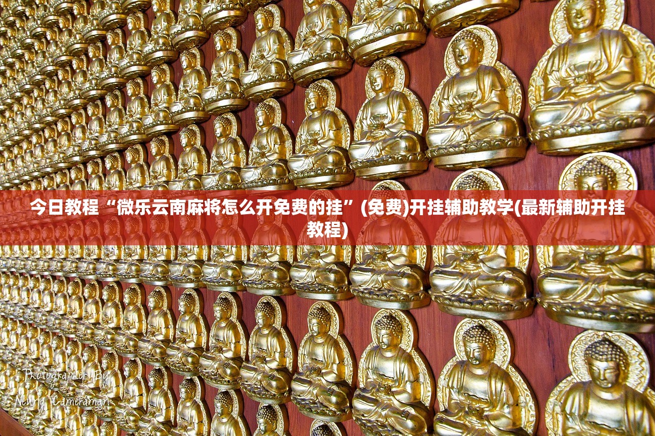 今日教程“微乐云南麻将怎么开免费的挂”(免费)开挂辅助教学(最新辅助开挂教程)