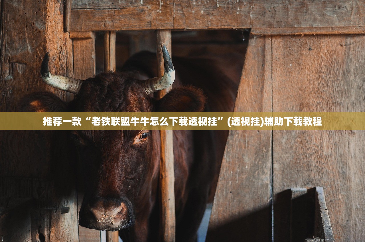 一键必胜“福州十八扑开挂辅助器通用版”细辅助教程分享