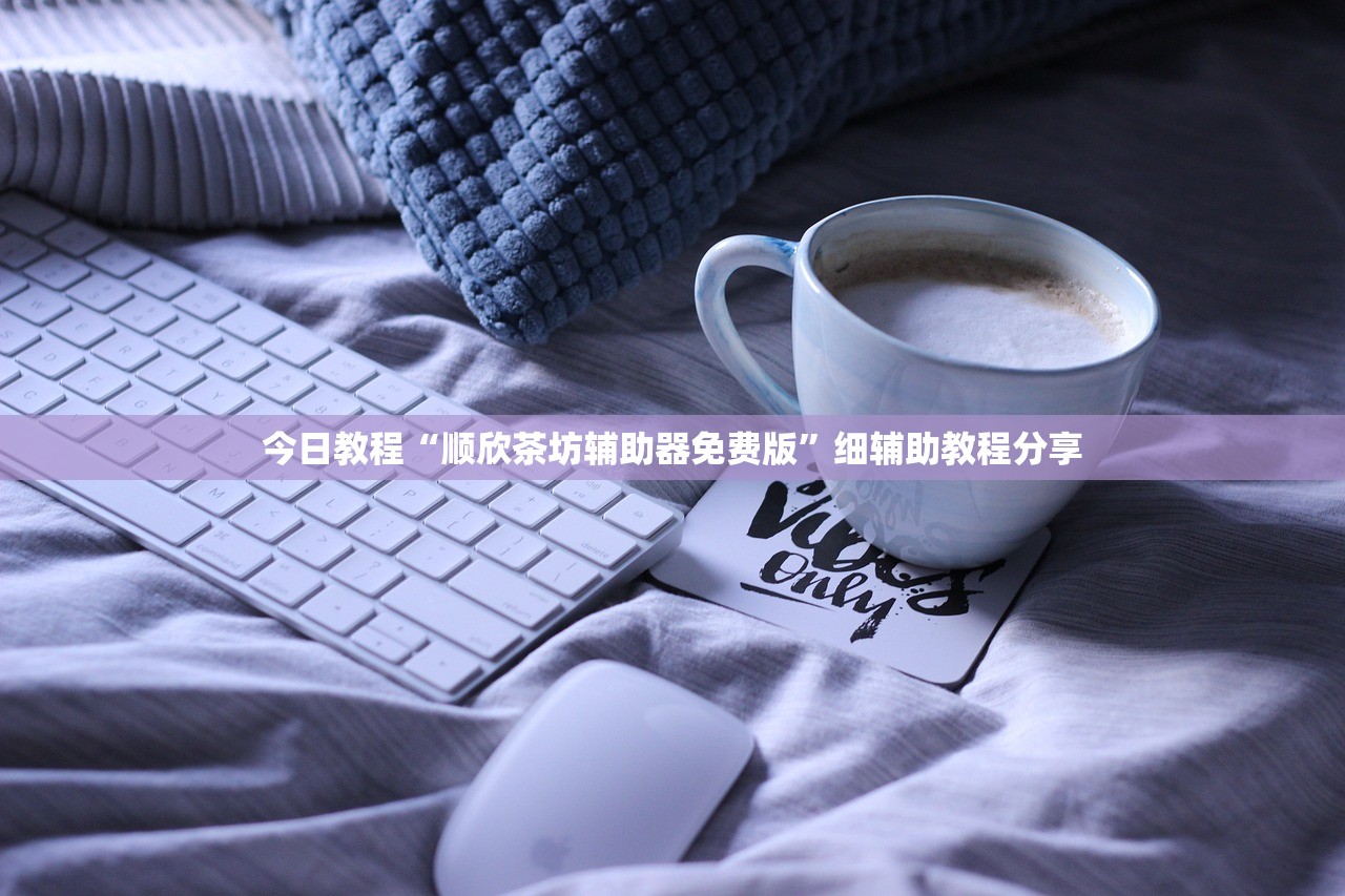 今日教程“顺欣茶坊辅助器免费版	”细辅助教程分享