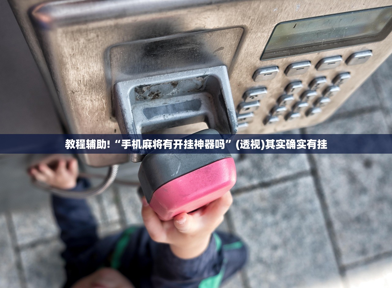 教程辅助!“手机麻将有开挂神器吗”(透视)其实确实有挂