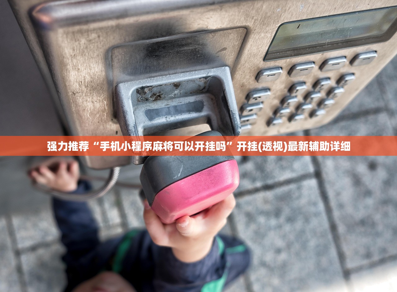 强力推荐“手机小程序麻将可以开挂吗”开挂(透视)最新辅助详细