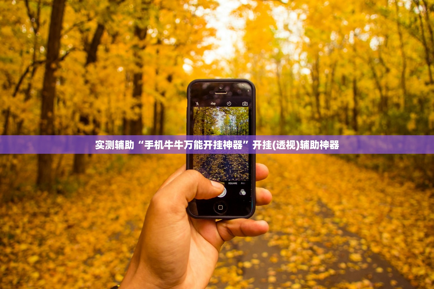 实测辅助“手机牛牛万能开挂神器”开挂(透视)辅助神器