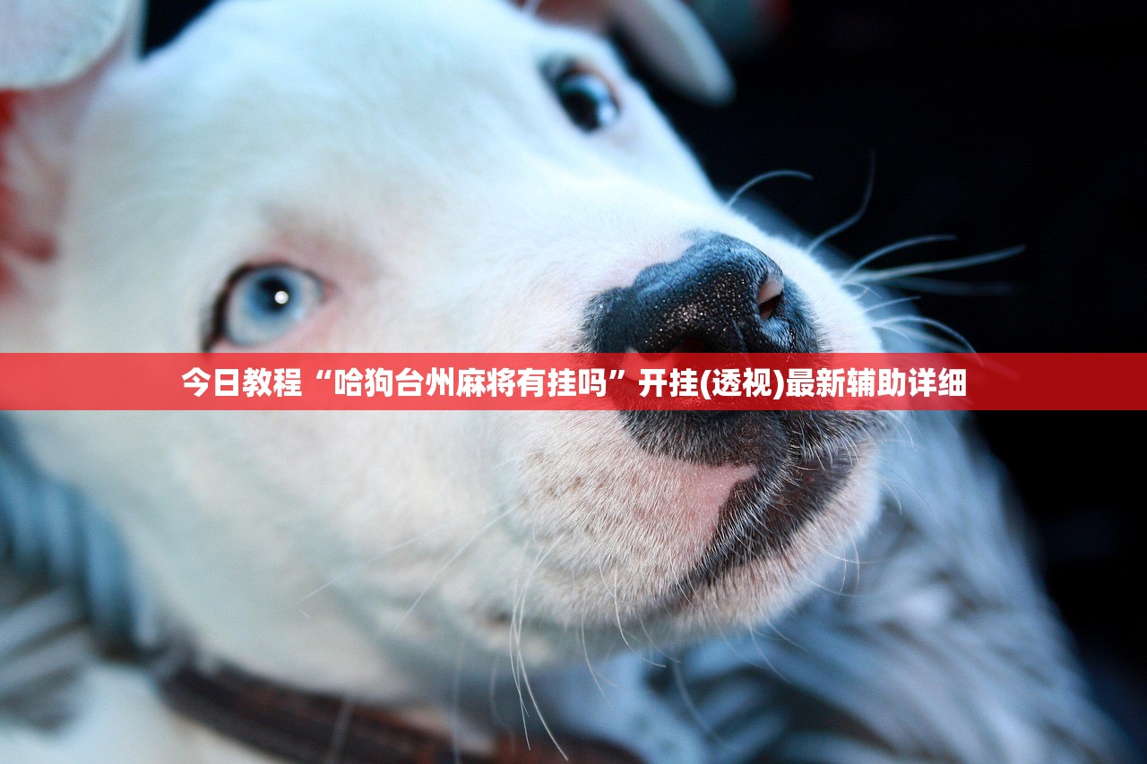 今日教程“哈狗台州麻将有挂吗”开挂(透视)最新辅助详细