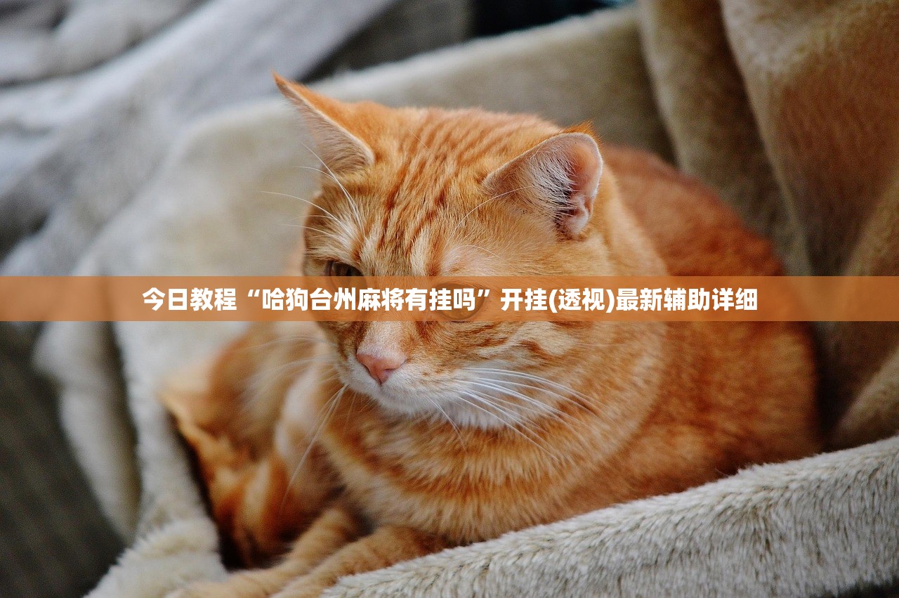 今日教程“哈狗台州麻将有挂吗”开挂(透视)最新辅助详细