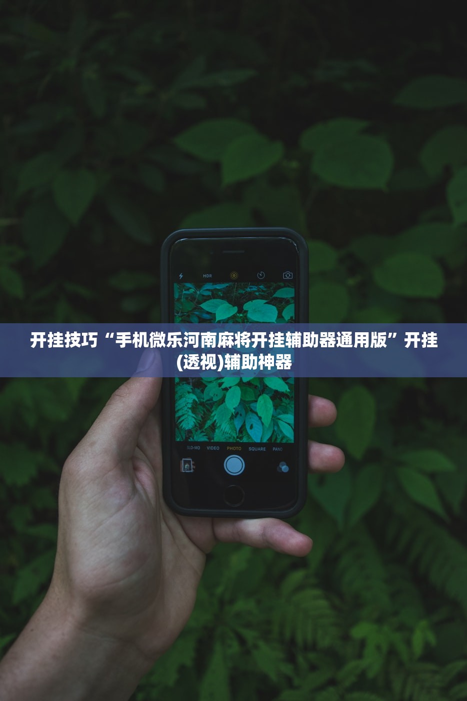 开挂技巧“手机微乐河南麻将开挂辅助器通用版”开挂(透视)辅助神器