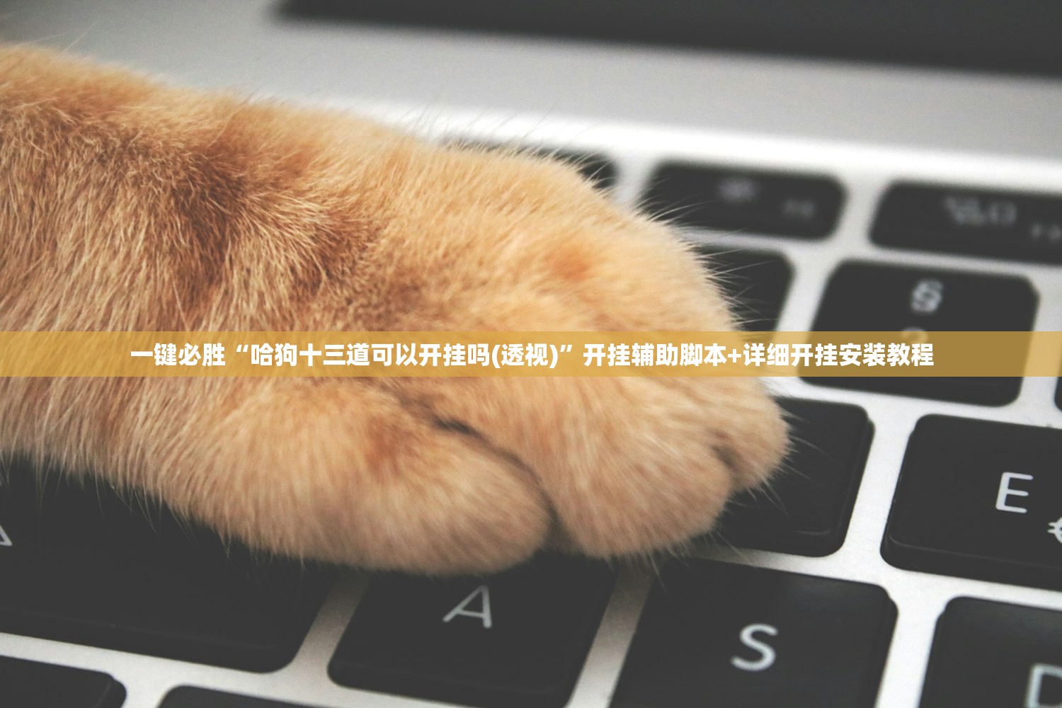 一键必胜“么么棋牌有没有挂”开挂详细教程