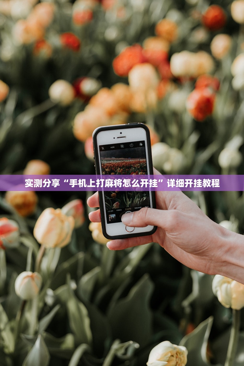 实测分享“手机上打麻将怎么开挂”详细开挂教程